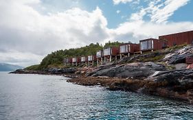 Aurora Fjord Cabins