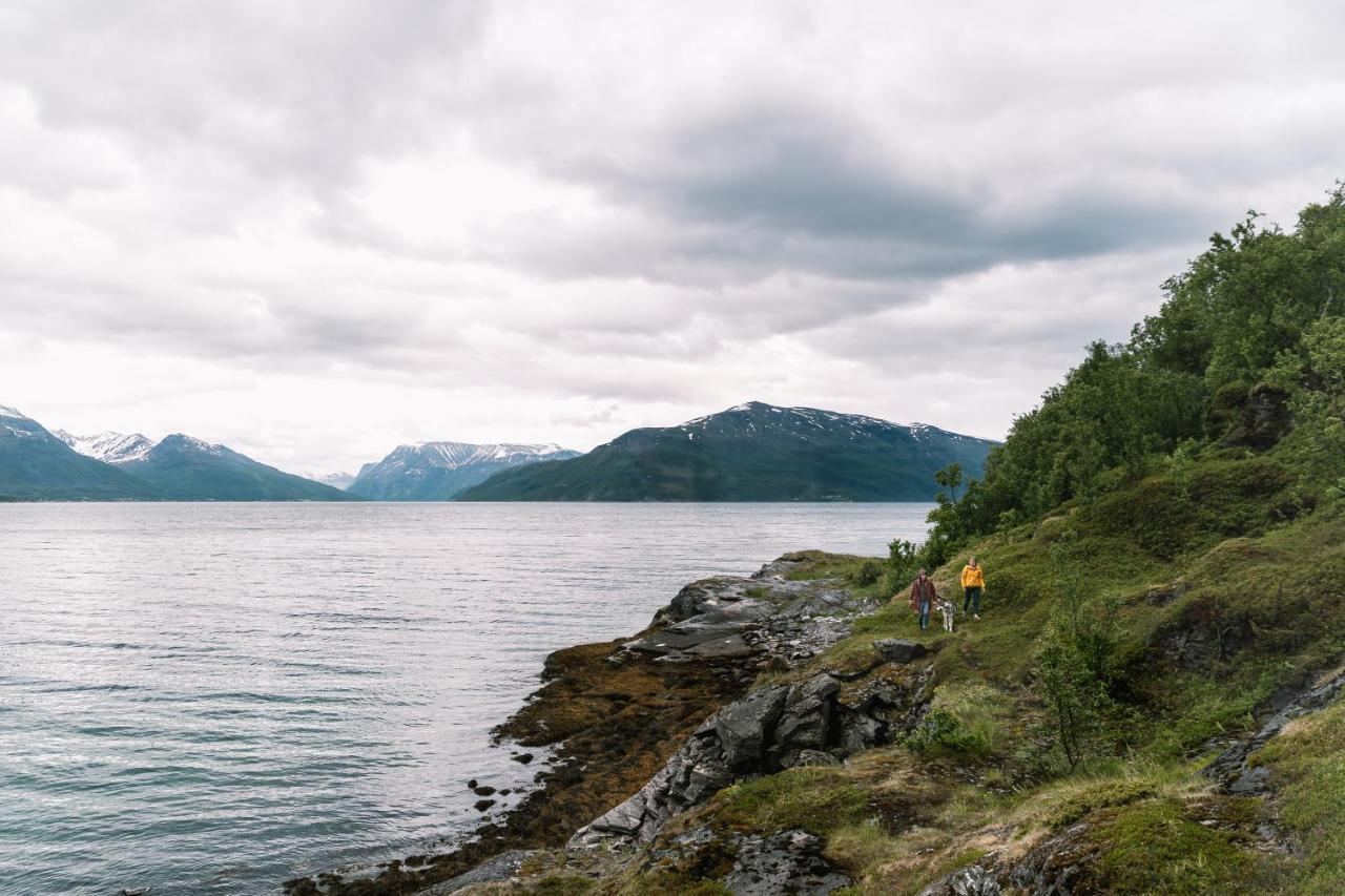 Aurora Fjord Cabins Lyngseidet Esterno foto