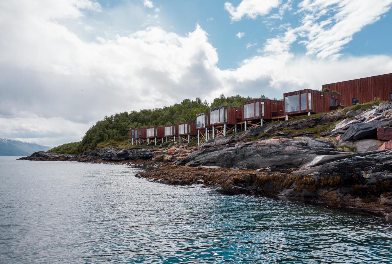 Aurora Fjord Cabins Lyngseidet Esterno foto
